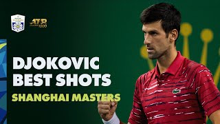 Novak Djokovic Best Shots In Shanghai [upl. by Eceerehs815]