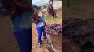 buying Bushmeat africanfood baltasar nigerianfood meat [upl. by Nailimixam]