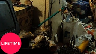 Hoarders Family Secrets Mary Battles a Rat Infestation S7 E8  Lifetime [upl. by Jayme200]