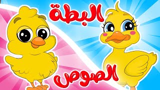 البطة  الصوص  في مجموعة من أجمل أغاني الحيوانات من قناة ألوان [upl. by Ygief418]