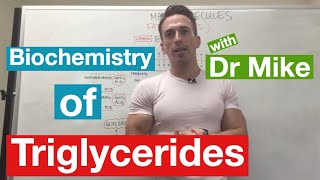 Fatty Acids Glycerol and Lipids  Biochemistry [upl. by Ikila900]