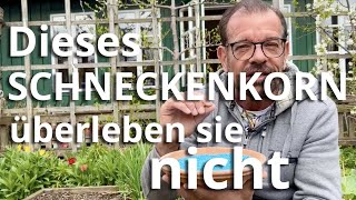 Dieses BIOSchneckenkorn überleben sie NICHT [upl. by Zenda]