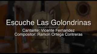 Escuche Las Golondrinas  Puro Mariachi Karaoke  Vicente Fernandez [upl. by Grefer610]