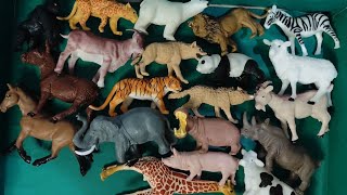 Farm Diorama with Animal Figurines  Learn Animal Names and Sound [upl. by Areik]