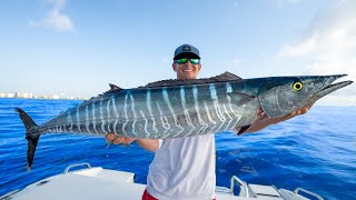 Most PRIZED Deep Sea Fish Catch Clean Cook Wahoo [upl. by Mathe]