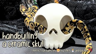 handbuilding from sphere to skull 💀 simple ceramic project  TikTok compilation [upl. by Valiant]