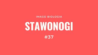 Stawonogi [upl. by Danika]