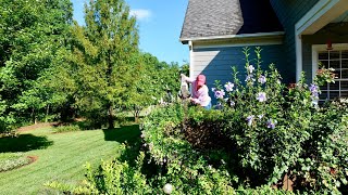 Giving the Deck Box Garden a Serious Prune [upl. by Enorel]