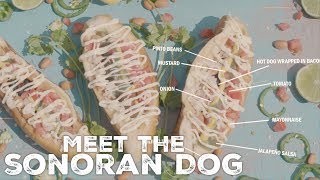 Meet The Sonoran Dog [upl. by Un]