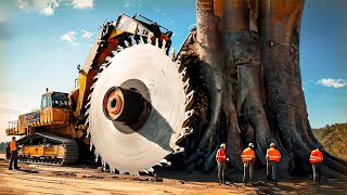 Extreme Dangerous Fastest Big Chainsaw Cutting Tree Machines  Monster Stump Removal Excavator 44 [upl. by Paddie]