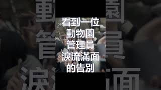 《再見，福寶》講述與評論 評論 電影 movierating movie 再見福寶 福寶 韓國 MyDearestFuBao 熊貓 [upl. by Borg]