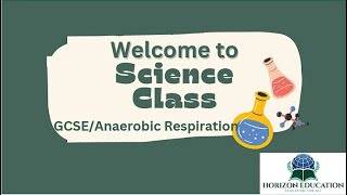 GCSE Biology Anaerobic Respiration [upl. by Nnav401]