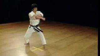 Shotokan Kata Nijushiho  Kanazawa Hirokazu [upl. by Royal]