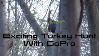 Exciting Turkey Hunt with GoPro [upl. by Llerred]