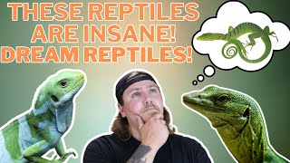 The Coolest Reptiles Ever Top 5 Dream Reptiles [upl. by Eirised]