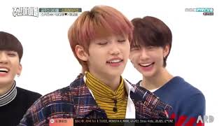 Stray Kids 스트레이 키즈 Aegyo  Weekly Idol Ep 381 quotBe Mine 내꼬해quot Time [upl. by Whallon]