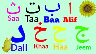 Learn Arabic Alphabet Lesson 01 Arabi Haroof e Tahajji Alif baa taa arabic alphabets for beginners [upl. by Kloman549]