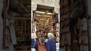 San Gimignano europetravel italytravel sangimignano [upl. by Enyawd769]