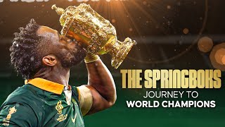 Rugby World Cup 2023 How The Springboks won back to back championships  AVERAGE RUGGER [upl. by Akirdnahs]