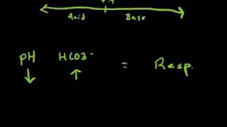 Arterial Blood Gases 2 of 2 videos [upl. by Vitkun]