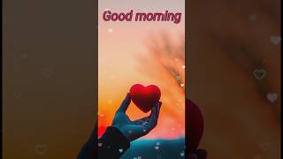 Good morning letest video❤️ trending love shorts status [upl. by Ecnatsnok]