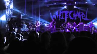 Whitechapel LIVE I Dementia  Brutal Assault Czech Republic 2013 [upl. by Mortie]