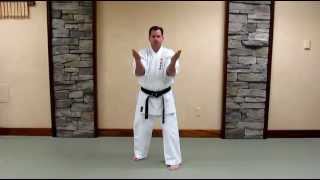 Uechi Ryu Sanchin Kata  Basic Study Guide [upl. by Sinnod]