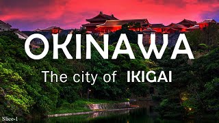 Okinawa  The city of IKIGAI  Slice  1 [upl. by Llehsem]