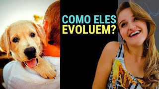 OS ANIMAIS TÊM ALMA Visão espírita  Fran te Explica [upl. by Zirtaeb]