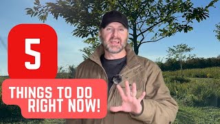 Want to GROW CHESTNUTS 5 Things to do RIGHT NOW [upl. by Madel]