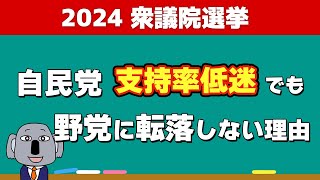 どうなる衆議院選！？選挙の情勢と制度的な特徴について解説します！ [upl. by Ahsirak]