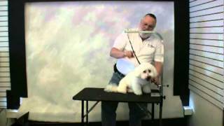 Groomers Helper  Quick Start Training [upl. by Assirrec30]