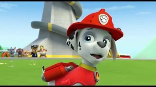 Paw Patrol  Season 1  Best Moments [upl. by Nobile76]