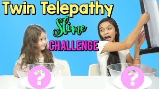 TWIN TELEPATHY CHALLENGE  Slime Edition [upl. by Brinn959]