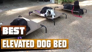 Best Elevated Dog Bed In 2024  Top 10 Elevated Dog Beds Review [upl. by Anierdna431]