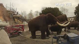 Timelapse of Ice Age Build at West Midland Safari Park [upl. by Light]