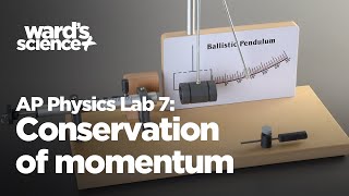 AP Physics Lab 7 Conservation of Momentum  Ballistic Pendulum [upl. by Hannis]