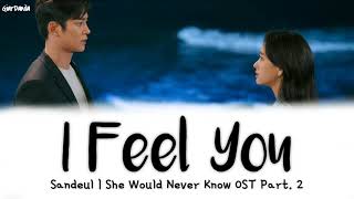 Sub Indo Sandeul – I Feel You  She Would Never Know OST Part 2 Lirik [upl. by Hamo]