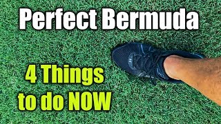 Improve Bermuda Grass Lawn Health and Thickness [upl. by Wrennie]