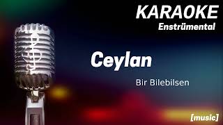 Karaoke Ceylan Bir Bilebilsen [upl. by Atilem]