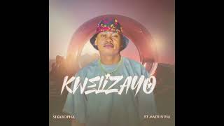 Sikabopha Kwelizayo visualizer ft Madunusa [upl. by Derward]