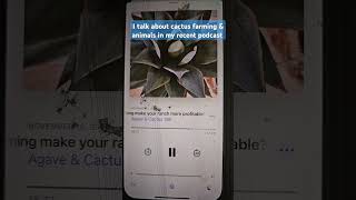 Check out my podcast Agave amp Cactus talk under my playlists [upl. by Rehposirhc288]