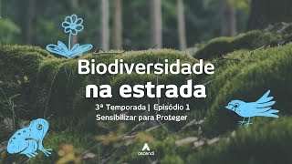 T3  Biodiversidade na Estrada  E1  Sensibilizar para Proteger [upl. by Ardnalak]