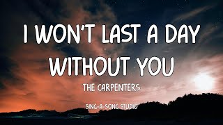 The Carpenters  I Wont Last A Day Without You Lyrics [upl. by Eelinnej]