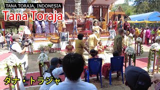 What Happens When You Attend a Tana Toraja Wedding [upl. by Elletsyrc600]