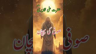 Sufi Kon hai   Data Gunj Bakhsh Quoteshazratdataganjbakhshhistory shortfeed jumamubarak [upl. by Zenia789]