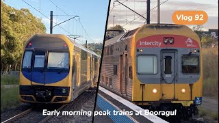 TNTV Vlog 92 Early morning peak trains at Booragul [upl. by Rentsch]