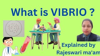 what is vibrio [upl. by Aicilaanna]