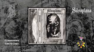 Silvaplana  Sils Maria full album 2024 [upl. by Enylodnewg179]