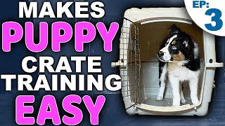 Picking The PERFECT Puppy Crate Training Location [upl. by Francis]